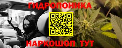 mdpv Рыбинск