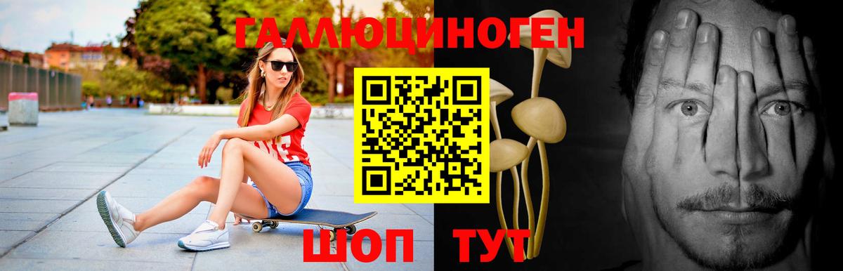 Псилоцибиновые грибы мухоморы Светлоград